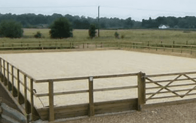 Why Fencing Matters: Safety, Style & Function in Your Arena Design