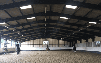 Is a Covered Arena Right for You? What to Consider Before You Invest