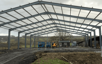 Do You Need Planning Permission for a Horse Arena in Ireland?