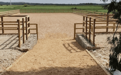 Choosing the Right Fencing for Your Horse Arena