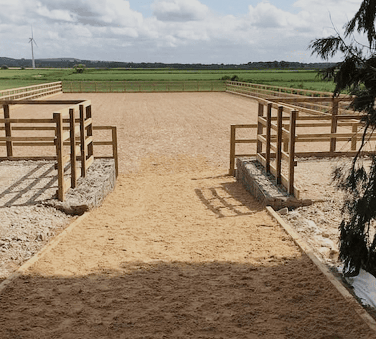 Choosing the Right Fencing for Your Horse Arena