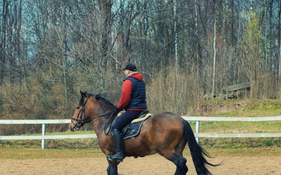 Horse rider in outside arena.