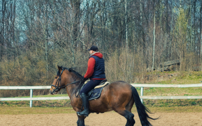 What’s the Best Time of Year to Install a Horse Arena?