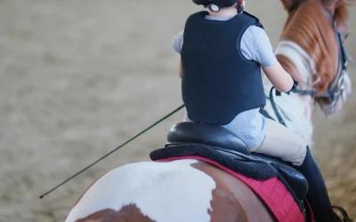 How Big Should Your Horse Arena Be?