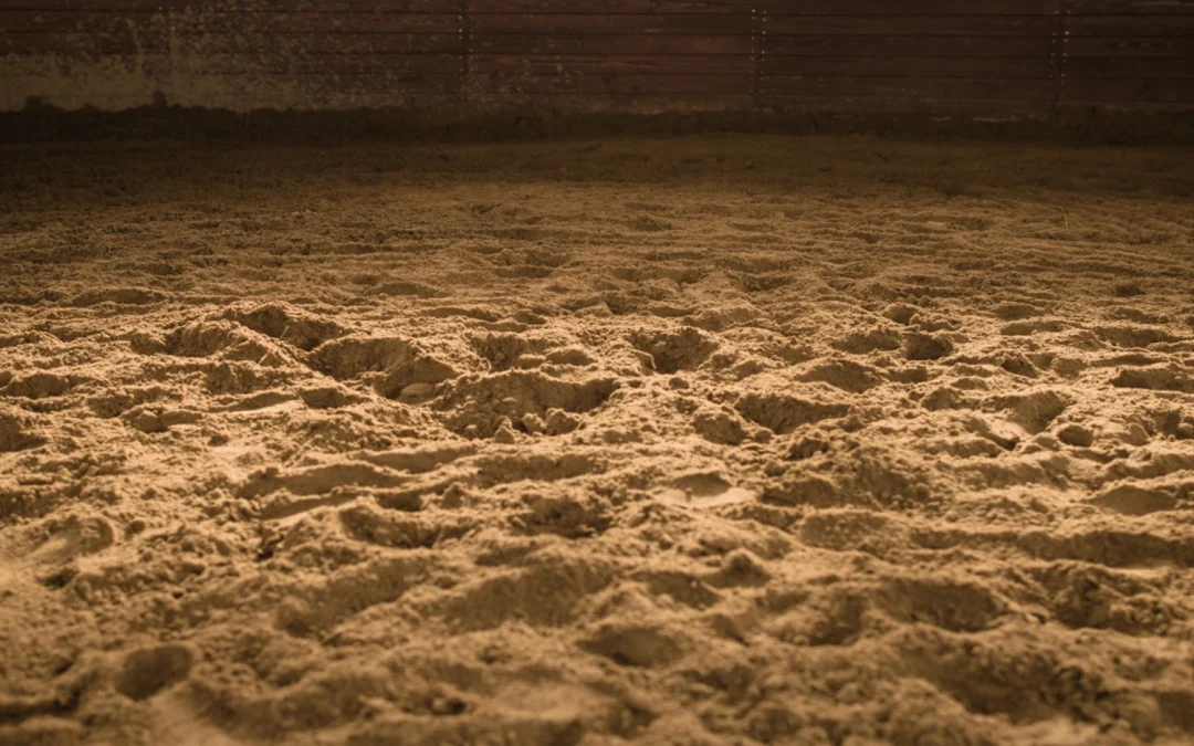 Choosing the Right Arena Surface: What Are Your Options?